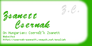 zsanett csernak business card